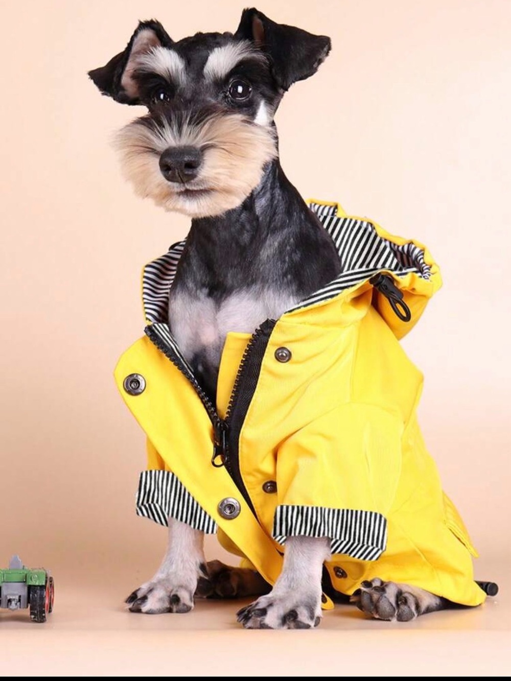 Dog Raincoat
